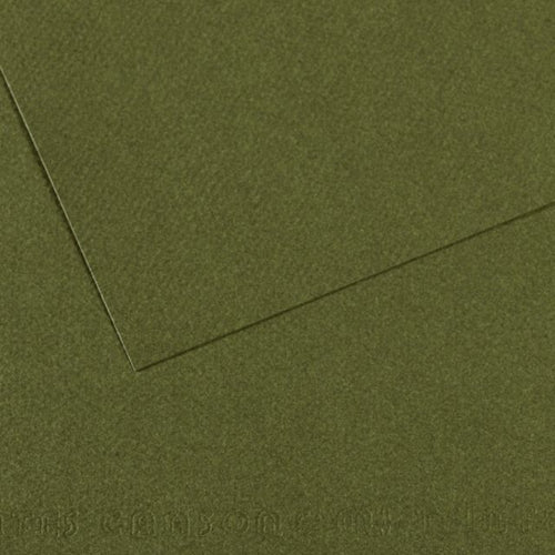 MI-TEINTES 448 IVY 8.5X11